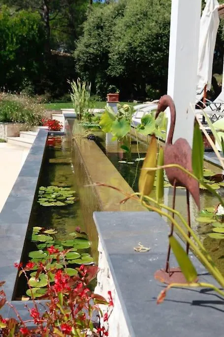 Luxurious Villa 4 Bedrooms In Secluded Area, Swimming Pool Valbonne