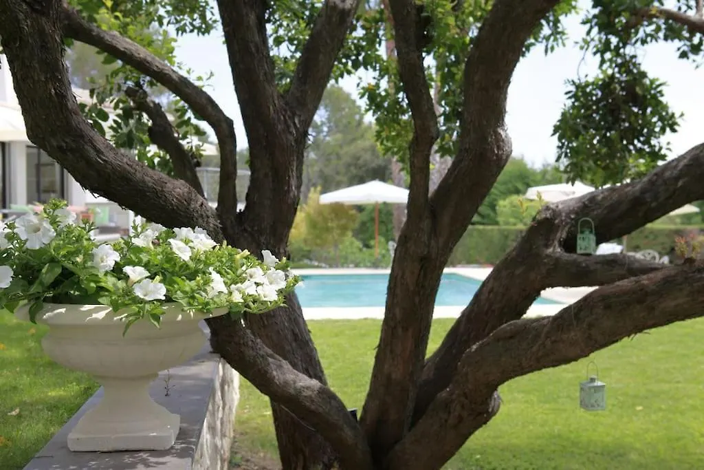 Luxurious Villa 4 Bedrooms In Secluded Area, Swimming Pool Valbonne Γαλλία