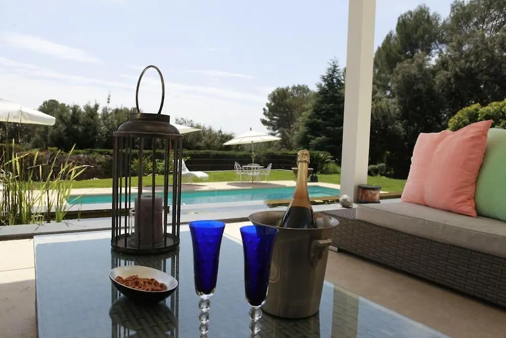 Luxurious Villa 4 Bedrooms In Secluded Area, Swimming Pool Valbonne